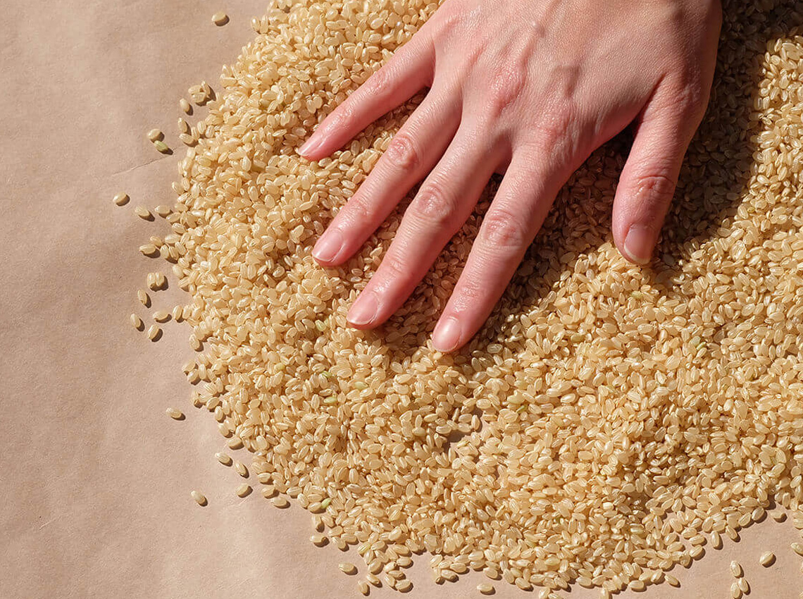 お米の保管どうしてる？ お米を最後まで美味しく食べる保管方法