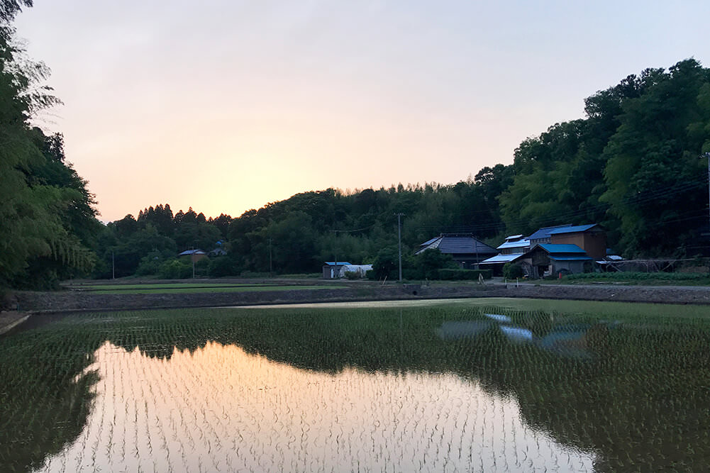 夕暮れの田園風景