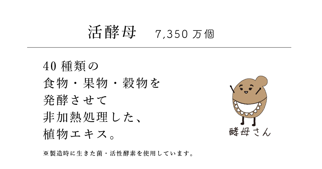 醗酵5を構成する5つの要素:2 .活酵母