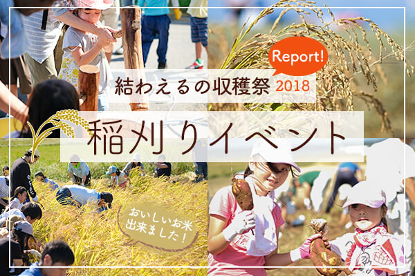 サツマイモ収穫&餅つきも! 結わえるの収穫祭2018をレポート