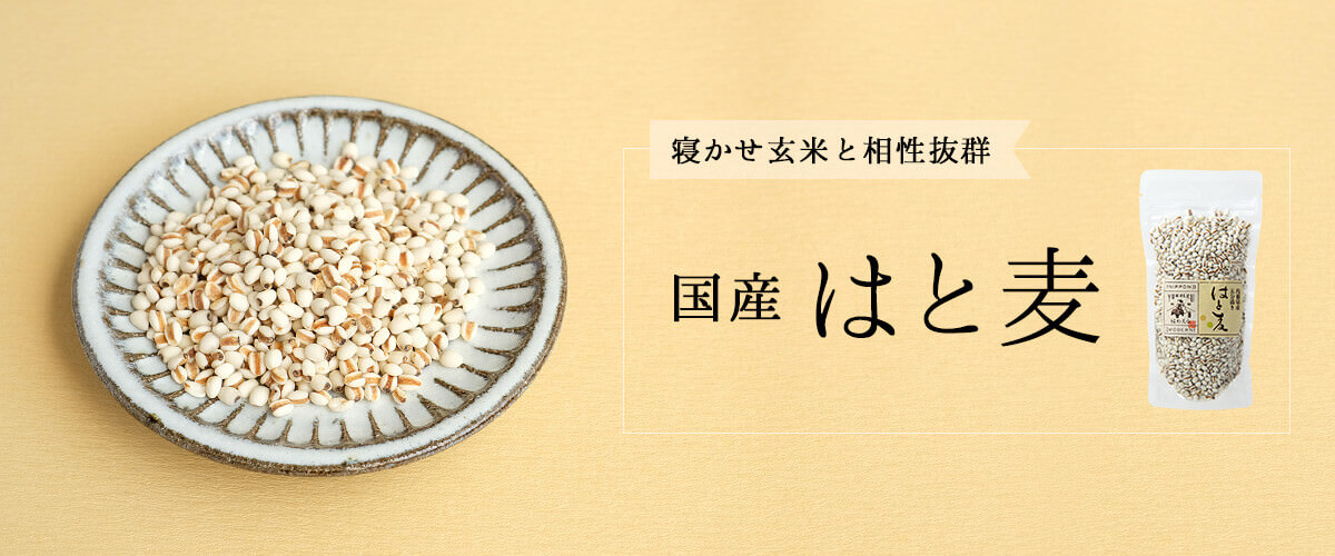はと麦