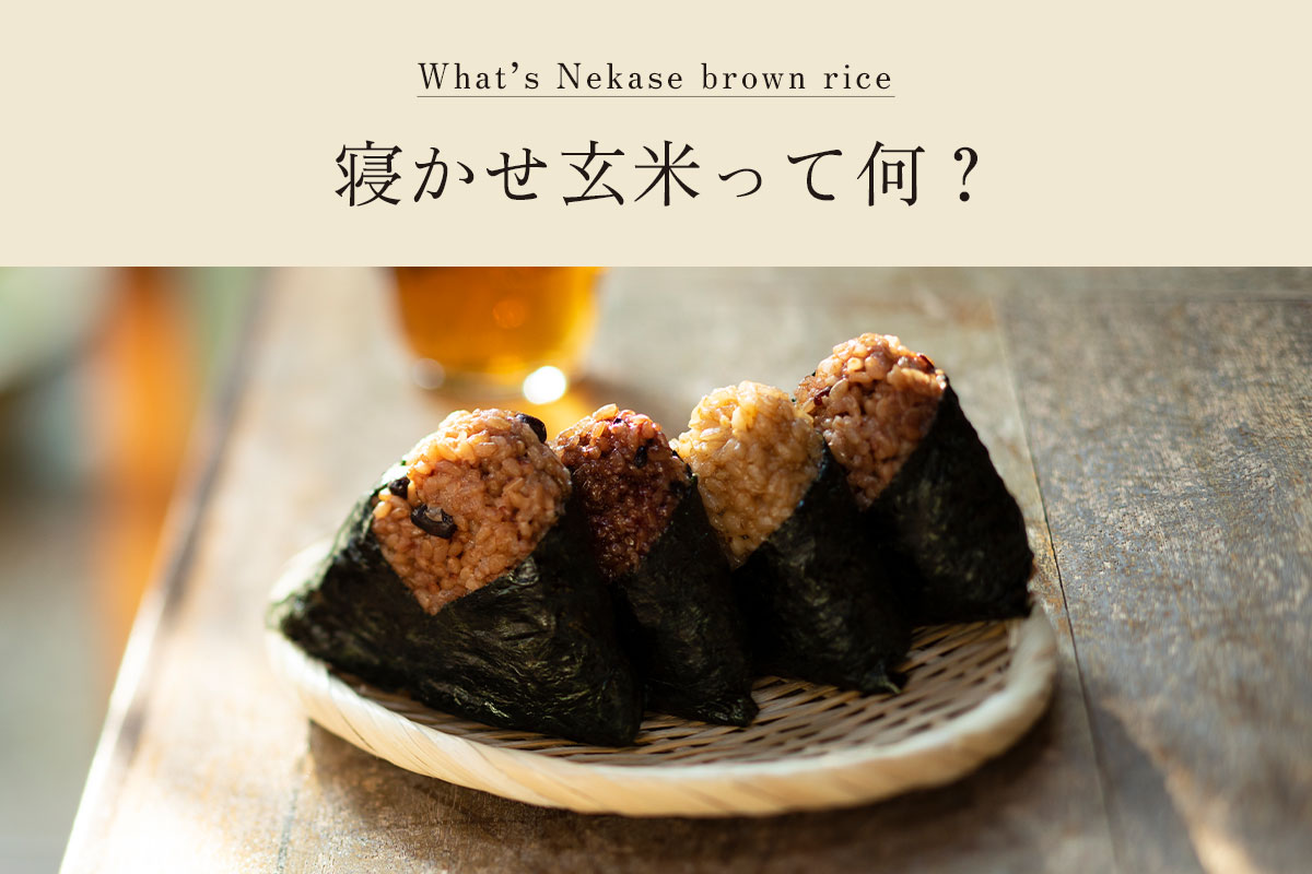 タイムセール ほどよい塩味に海苔の香り バターピーナッツのり塩 国内