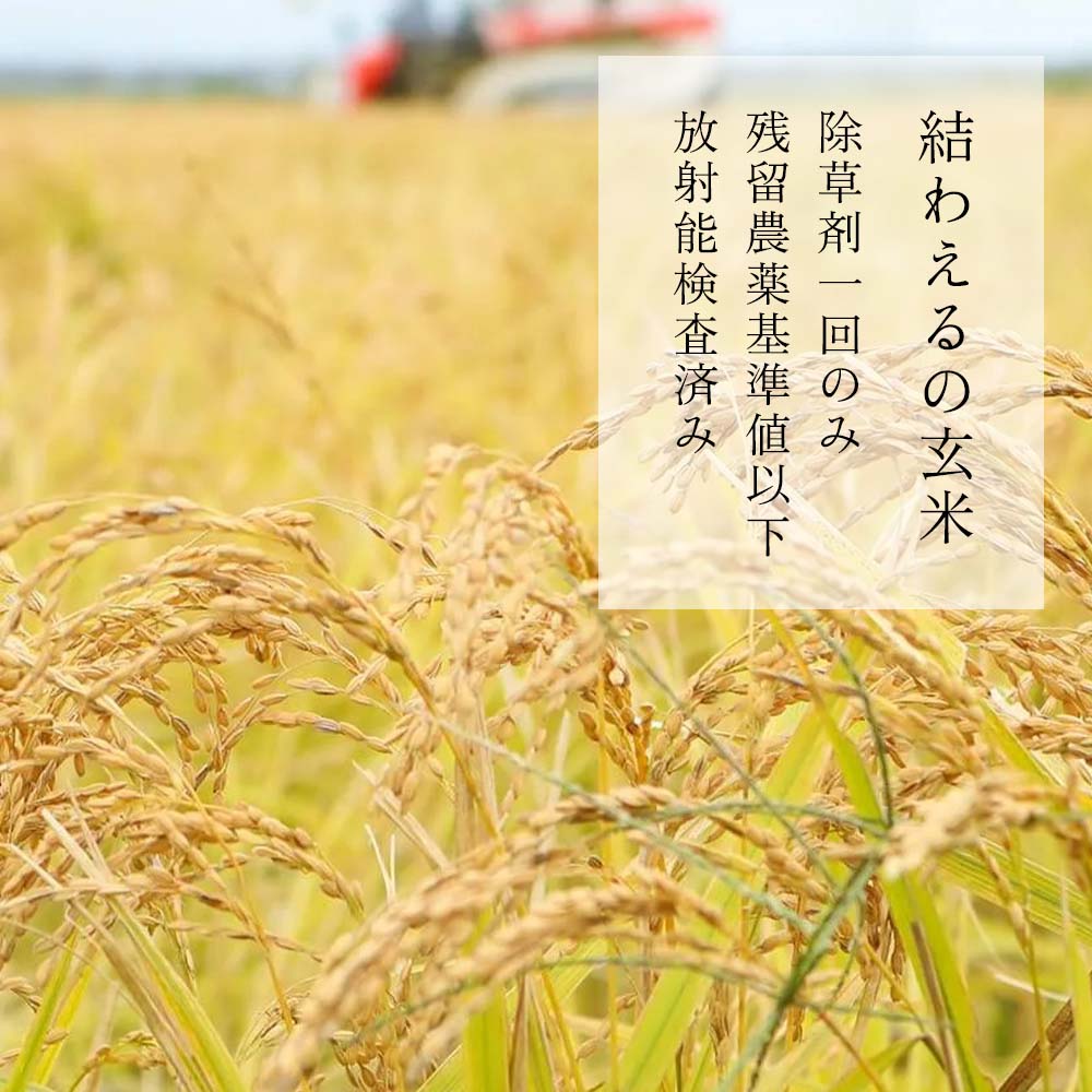 結わえるの玄米は、契約農家さんが丁寧に育てています。