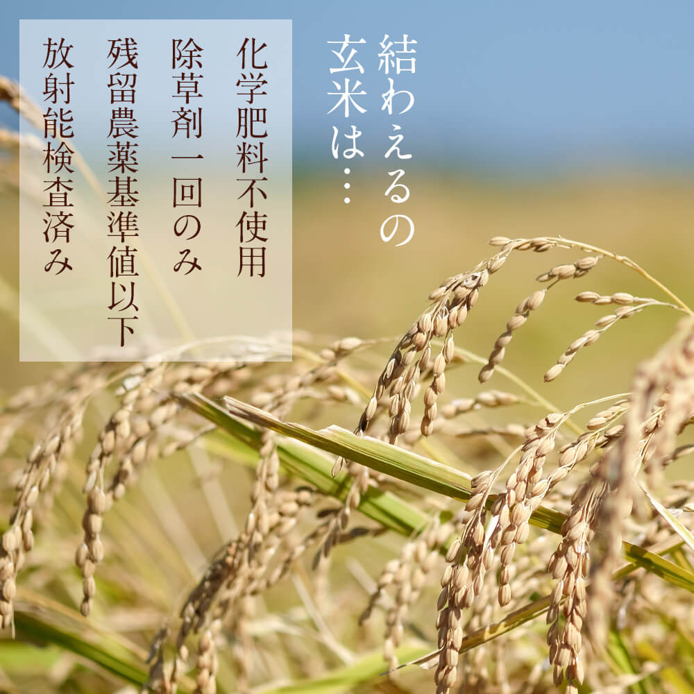 結わえるの玄米は、契約農家さんが丁寧に育てています。