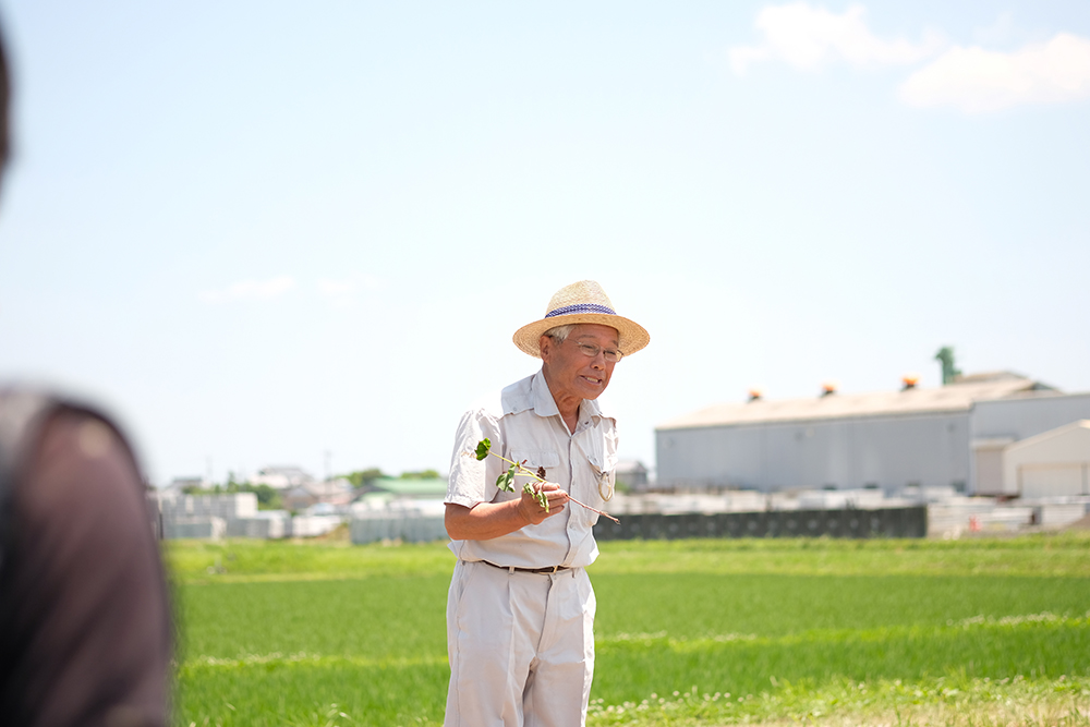 農家の吉田さん