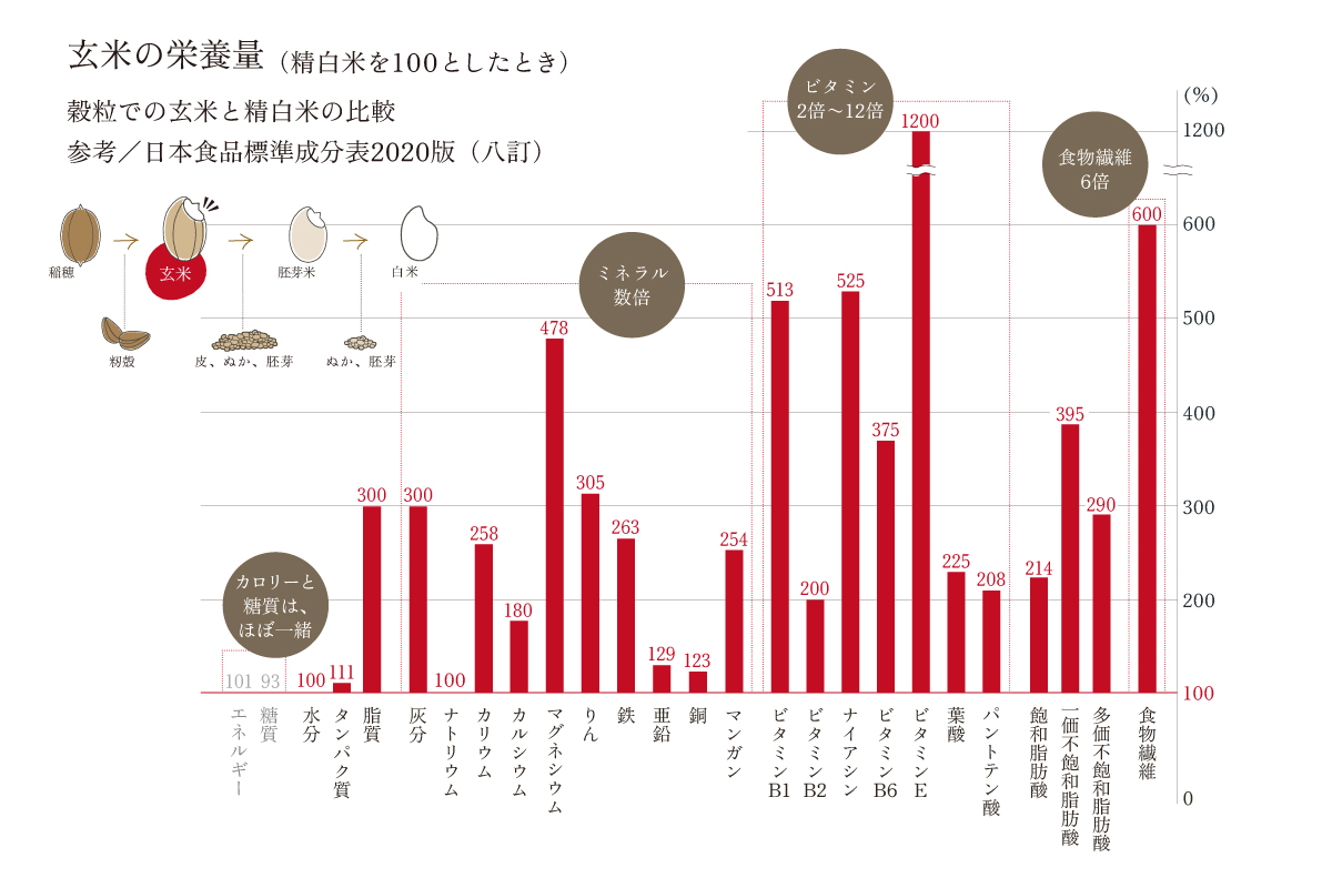 玄米はパーフェクトフード