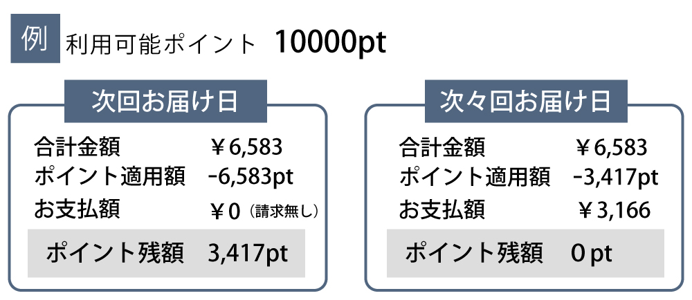 全ポイント継続利用を使った場合の例