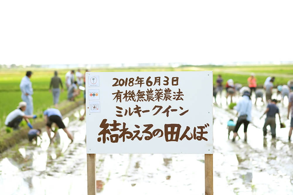 走って!食べて!植える!大人も子どもも楽しい、結わえるの田植えイベントに行ってきました!