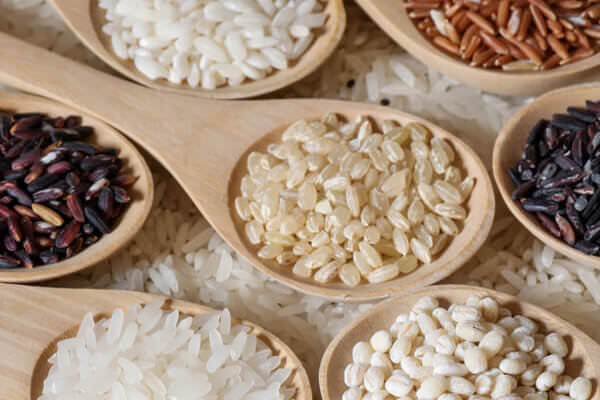 糖質制限ダイエットはカラダが老ける!?<br>人間の主食が穀物“米・玄米・小麦”なワケ
