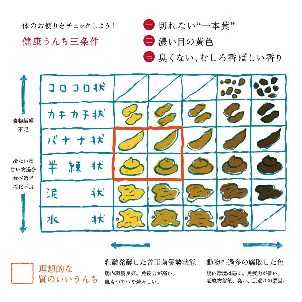 うんちチャート